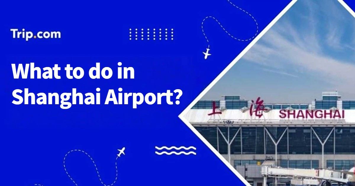 What to Do in Shanghai Airport: Guide for Your Layover