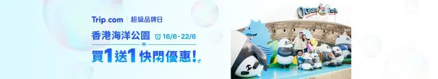 買1送1 快閃優惠！