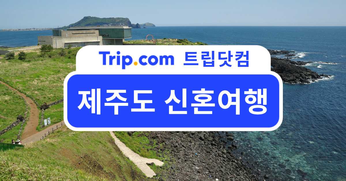 제주도 신혼여행 3박 4일 일정 및 호텔 추천 | 트립닷컴