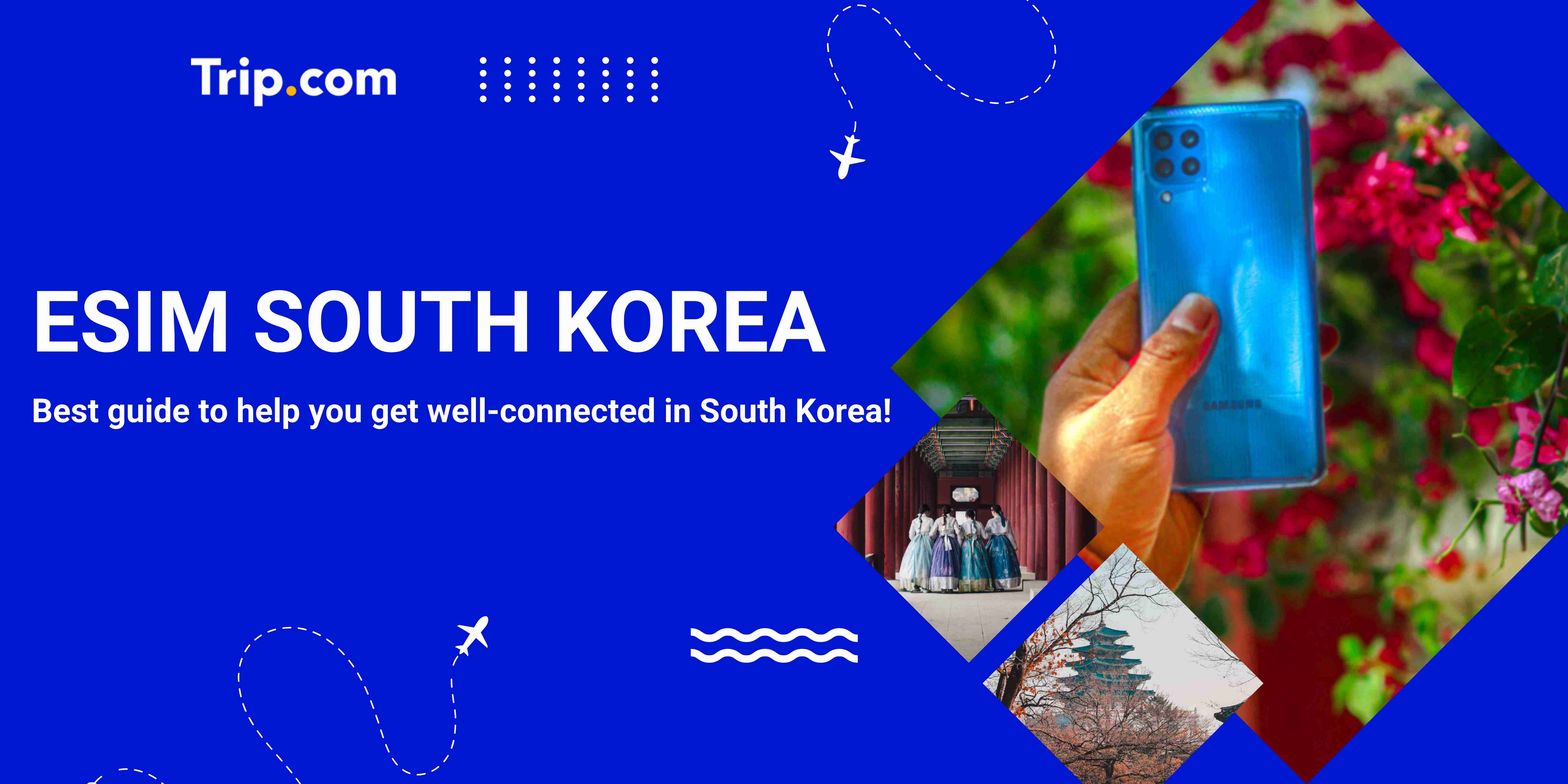 Get the Best eSIM South Korea: Data Plan, How to Buy & Use