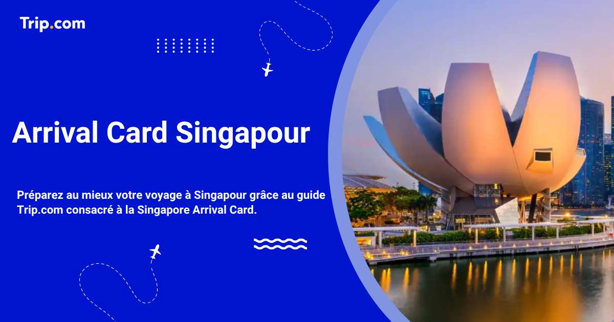 Carte d'arrivée à Singapour