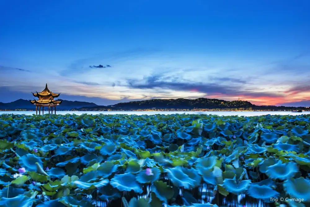 Musim Panas di Hangzhou