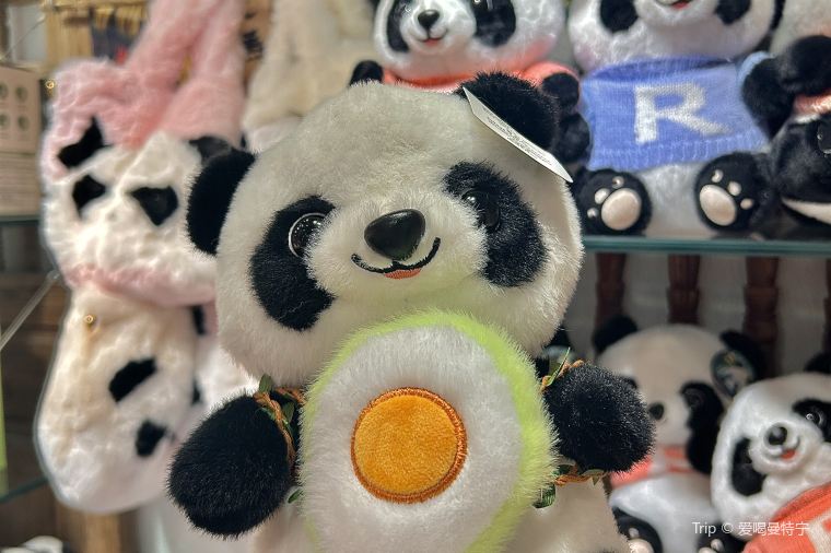 Panda-Themed Souvenirs