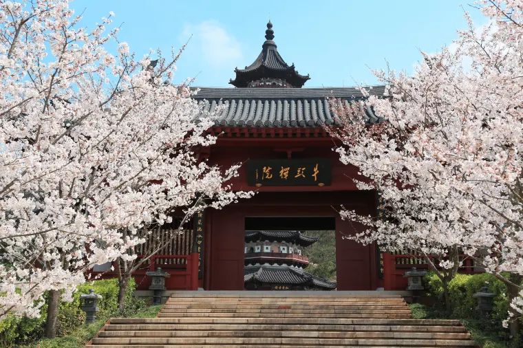 The traditional-style buildings and the campus's abundance of greenery provide a peaceful learning environment