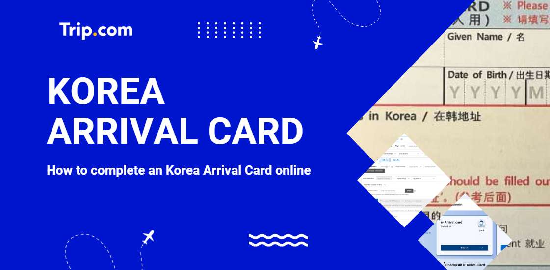 Korea Arrival Card