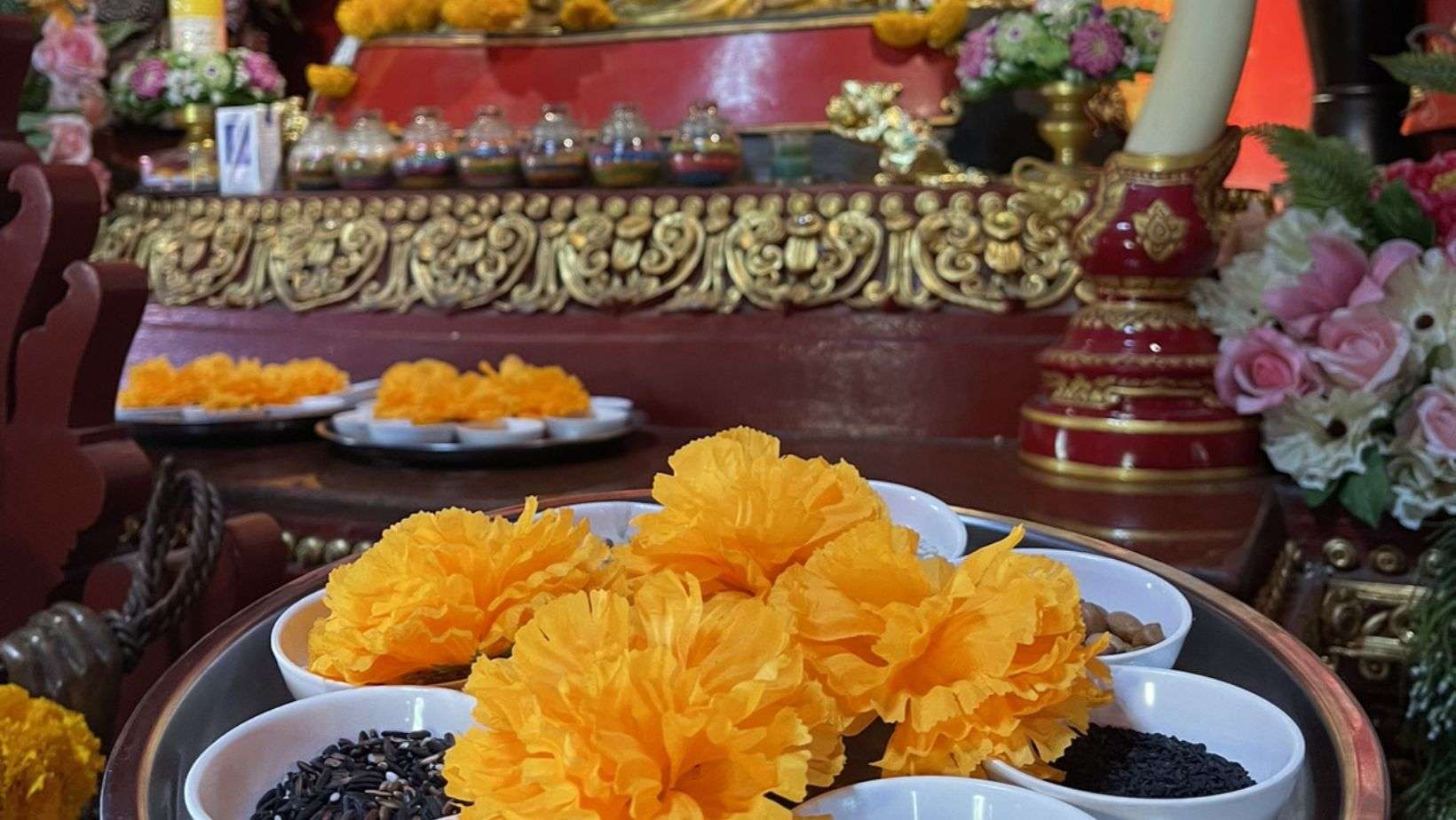 วัดป่าแดด