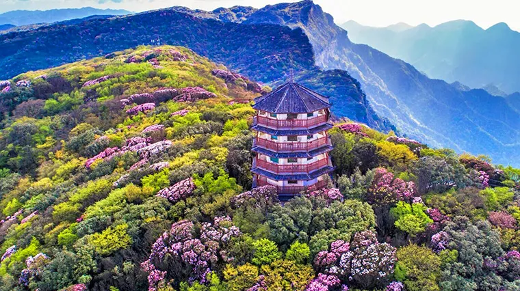 Chongqing spring