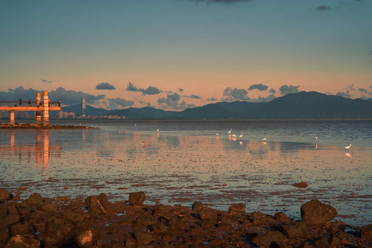 Shenzhen Bay