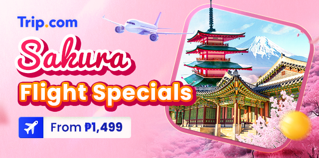 Sakura Flight Special | Trip.com