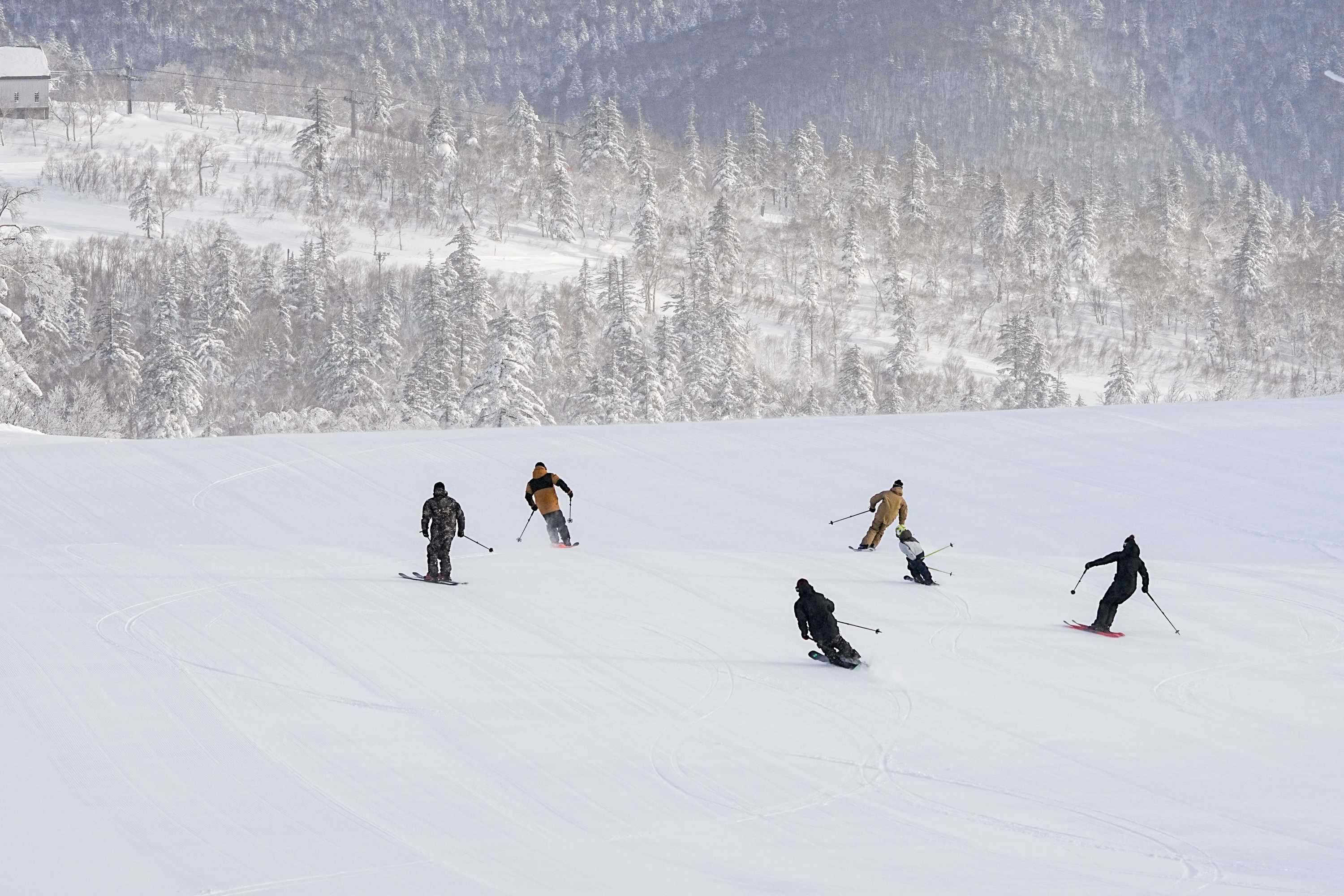 ซัปโปโรสกีนานาชาติ