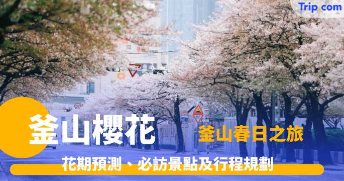 釜山櫻花攻略：花期預測、必訪景點及行程規劃全指南 | Trip.com