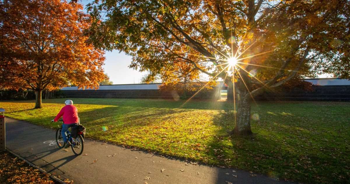 Royal Park