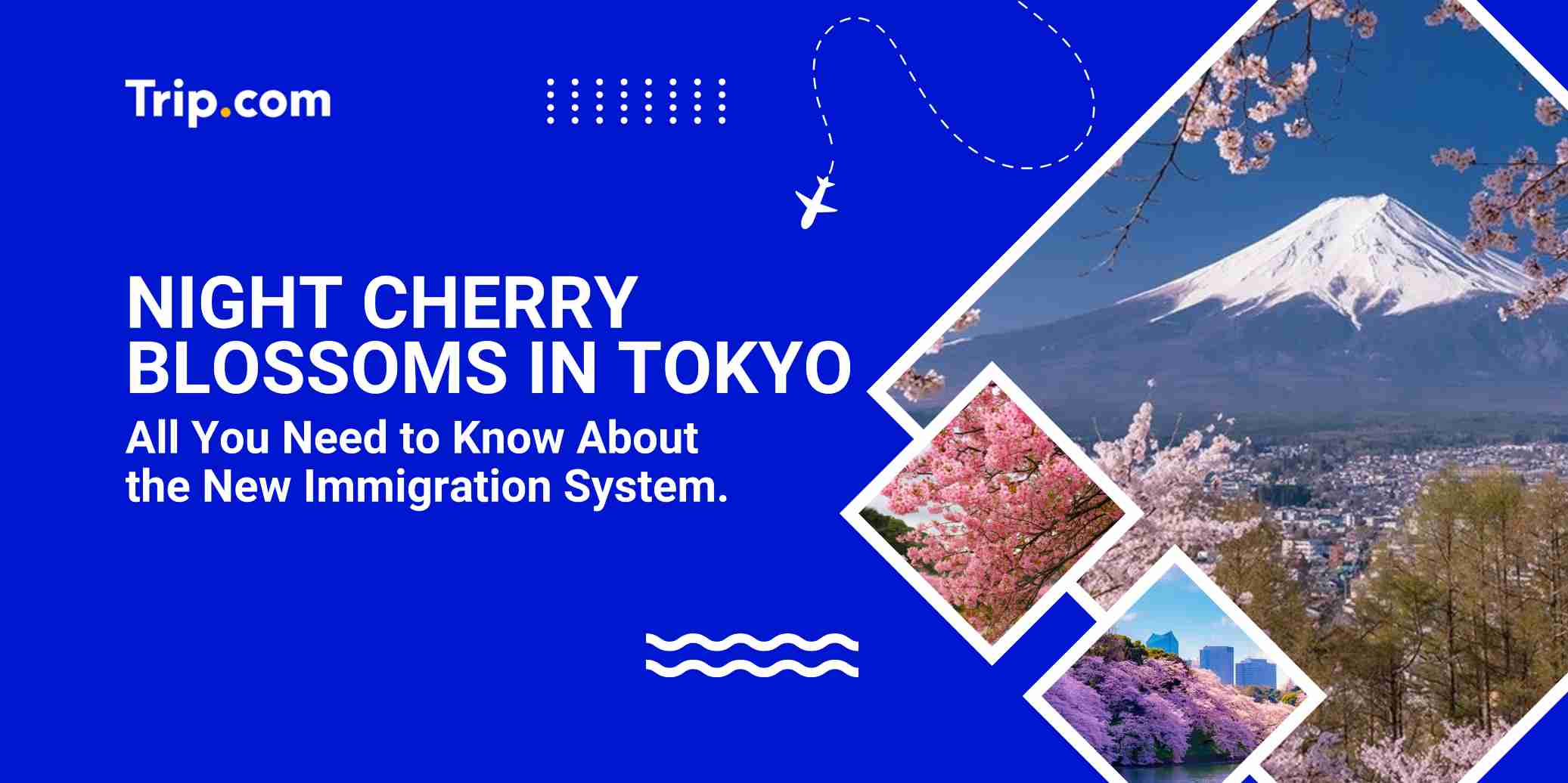 Night Cherry Blossoms in Tokyo: Best Yozakura Viewing Spots & Travel Tips | Trip.com