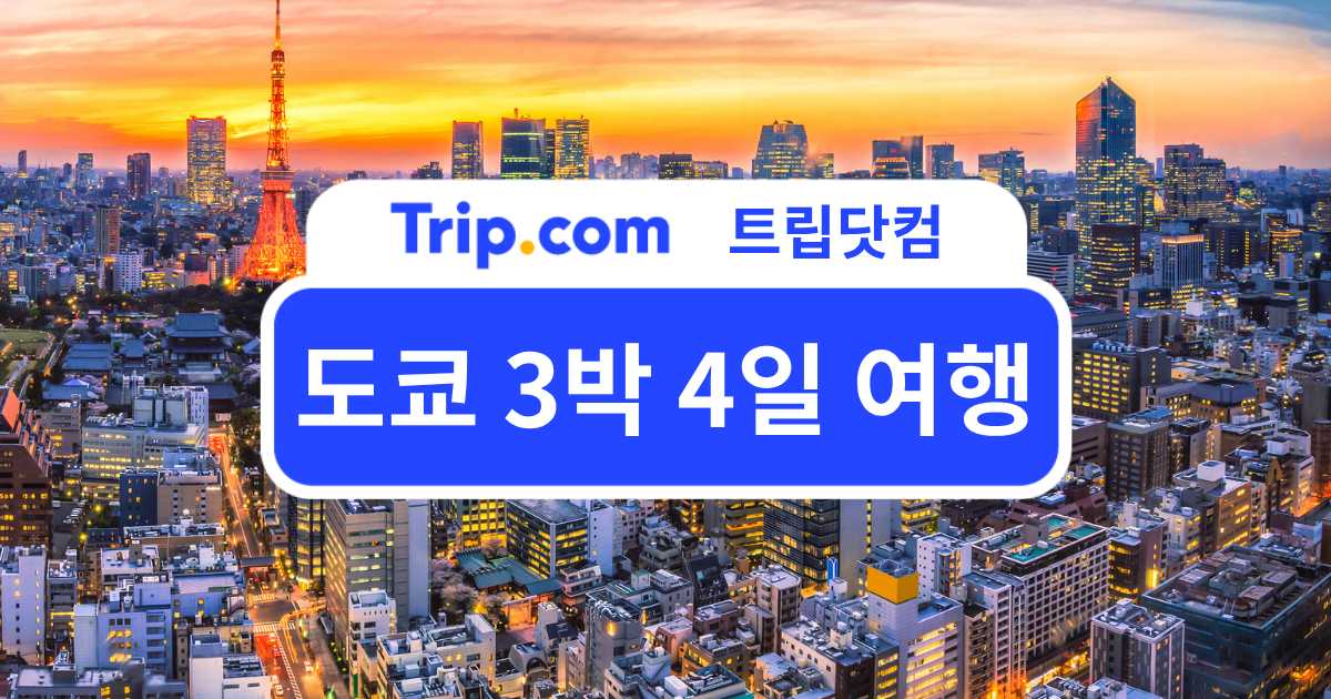 도쿄 3박 4일 여행 | 처음 가도 실패 없는 추천 코스