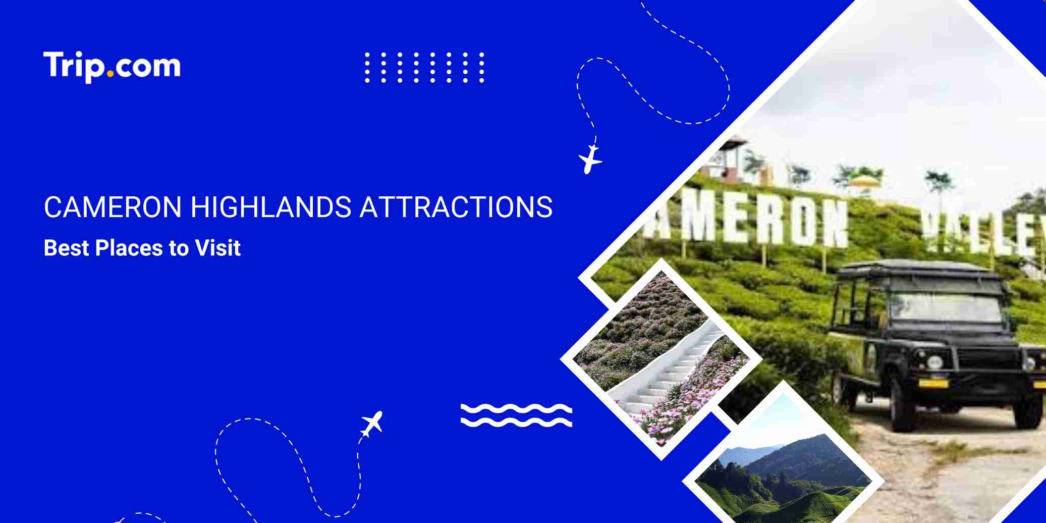 Cameron Highlands Attractions: Best Places to Visit | Trip Guide