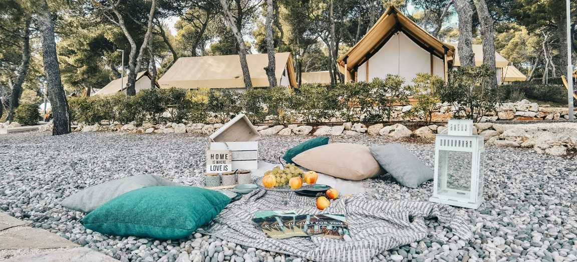 Глэмпинг в Казани, можно ли с животными