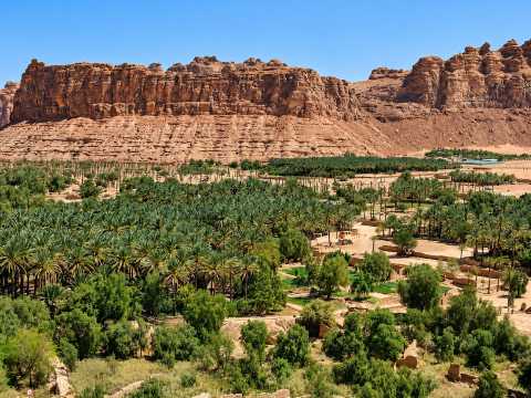AlUla Oasis&nbsp;