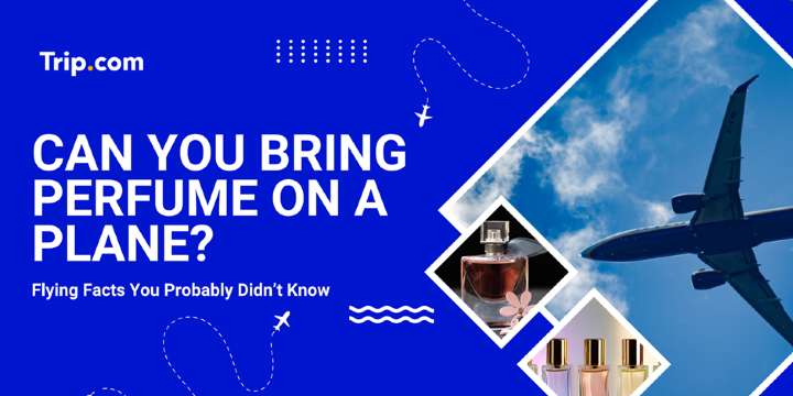 What toiletries can I bring on a plane? - citizendailypost.com