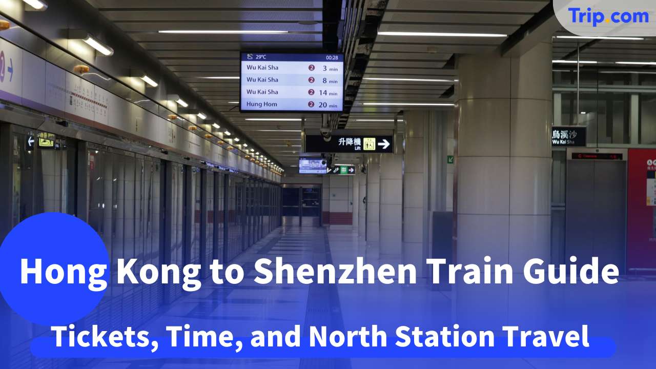 Hong Kong to Shenzhen train