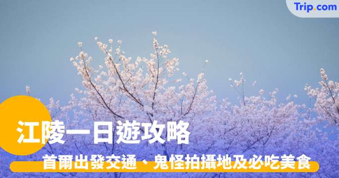 江陵一日遊攻略2026: 首爾出發交通、鬼怪拍攝地及必吃美食 | Trip.com