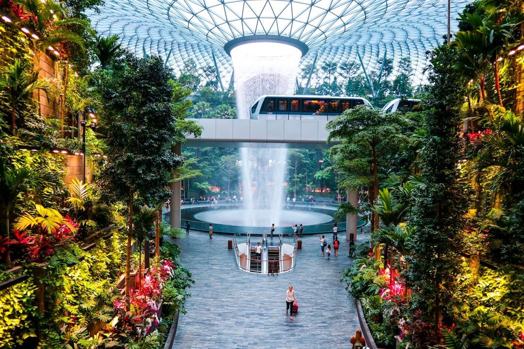 Tiket pesawat ke Singapura
