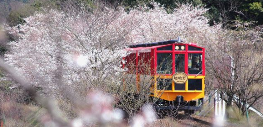 Kyoto Travel Guide: Top Attractions, Transport & Where to Stay