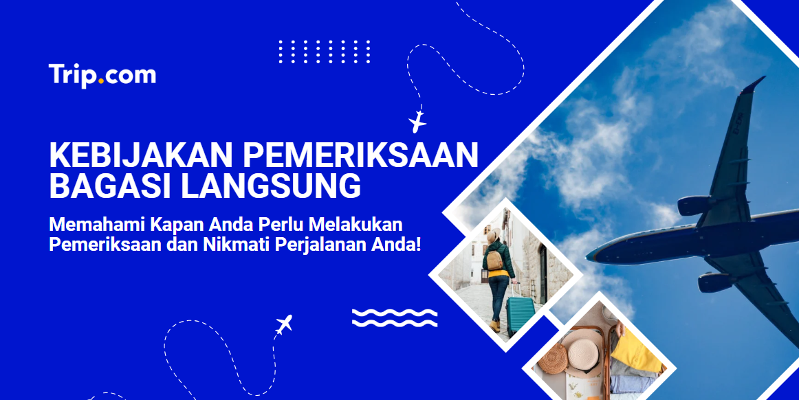 Pemeriksaan Bagasi Langsung
