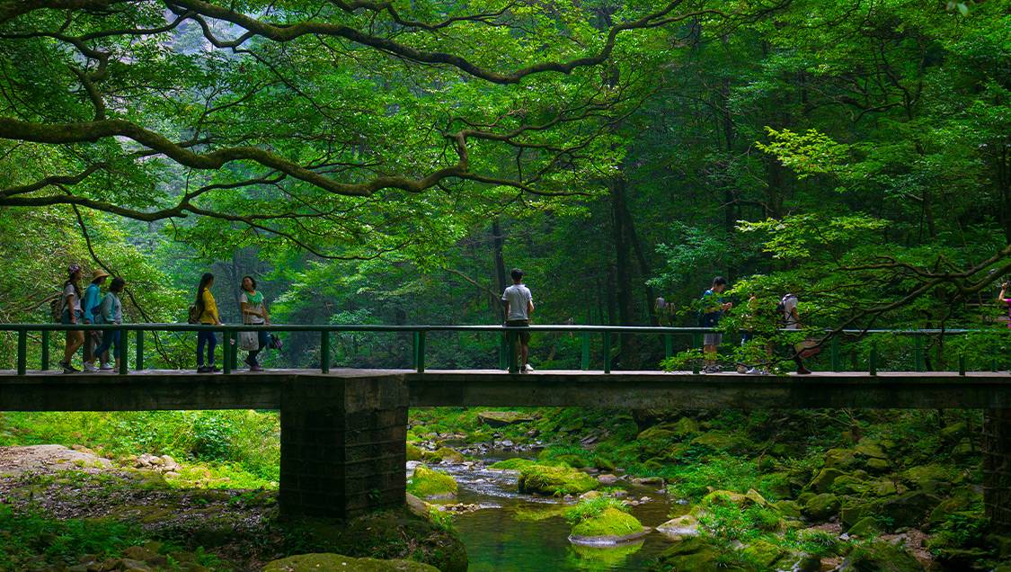 張家界国家森林公園を楽しむためのポイント