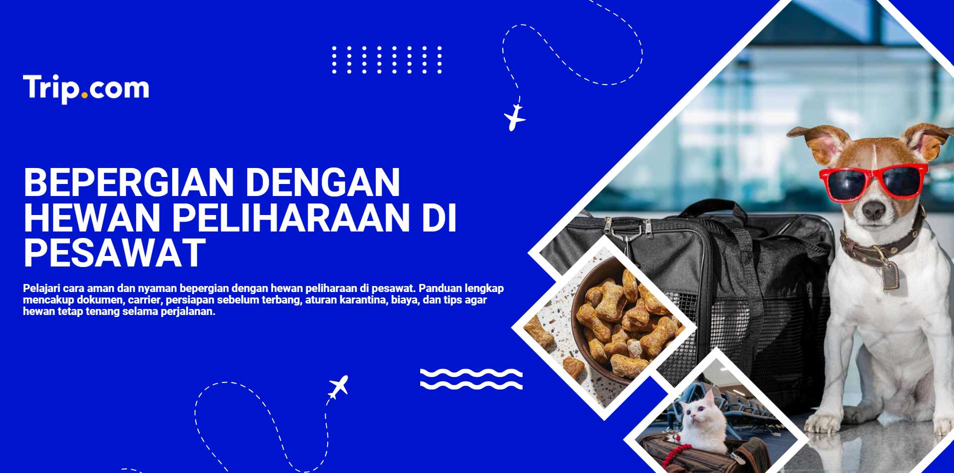 bepergian dengan hewan peliharaan di pesawat