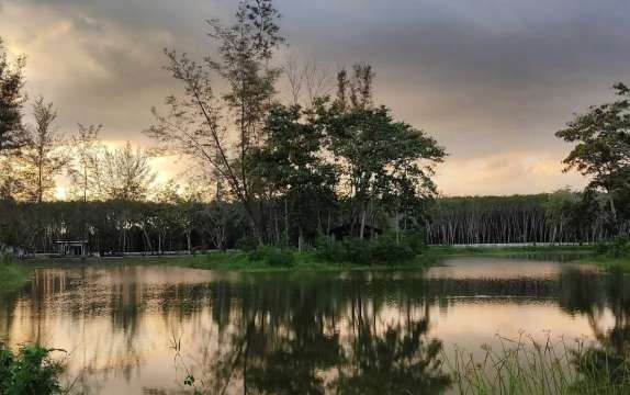 สวนสาธารณะสระน้ำหนองหอย