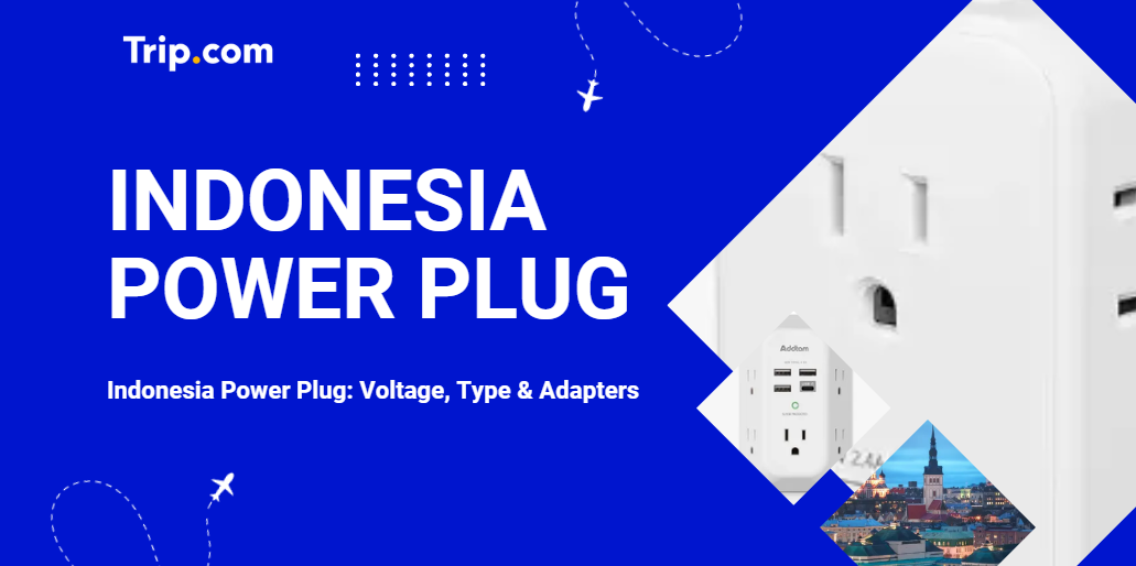 Indonesia Power Plug