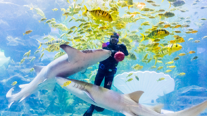 Qingdao Underwater World