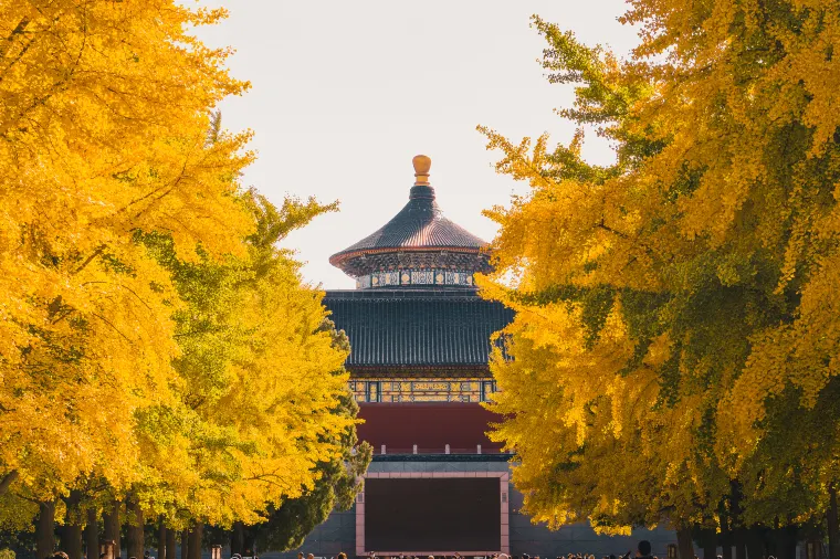 The Temple of Heaven Park