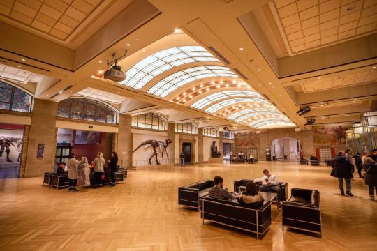 Best Way to Visit the Royal Ontario Museum-Group fossils of Albertosaurus