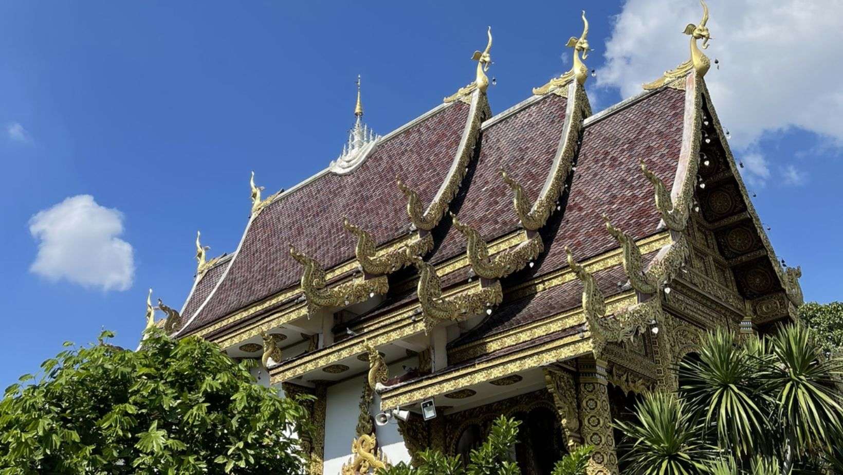 วัดป่าแดด