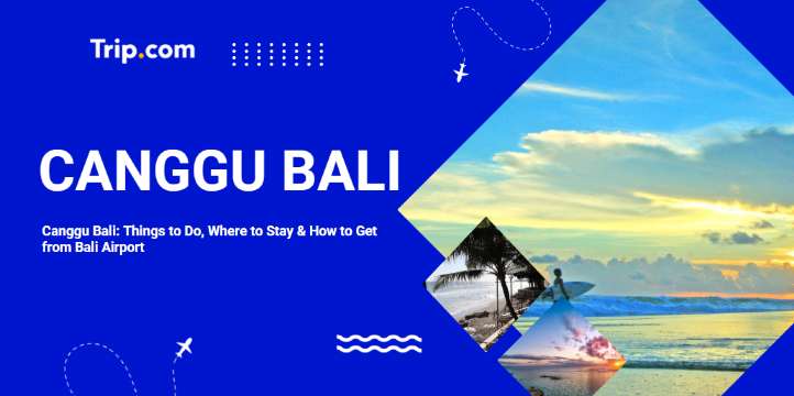 Canggu Bali: Things to Do, Where to Stay & How to Get from Bali Airport | Trip.com