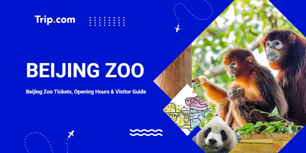 Beijing Zoo Tickets
