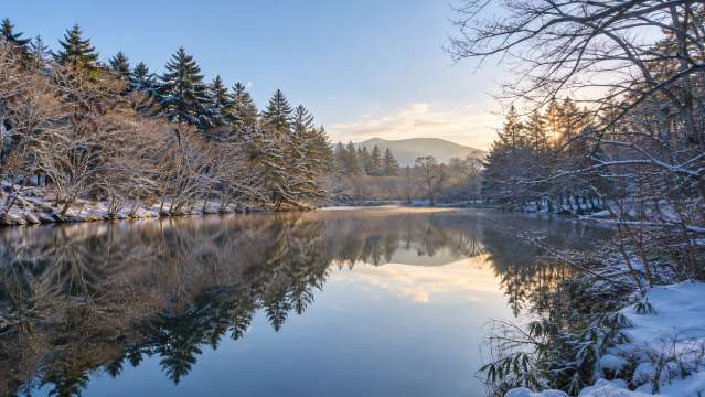 7.雲場池で冬の木立と水辺の風景を眺める