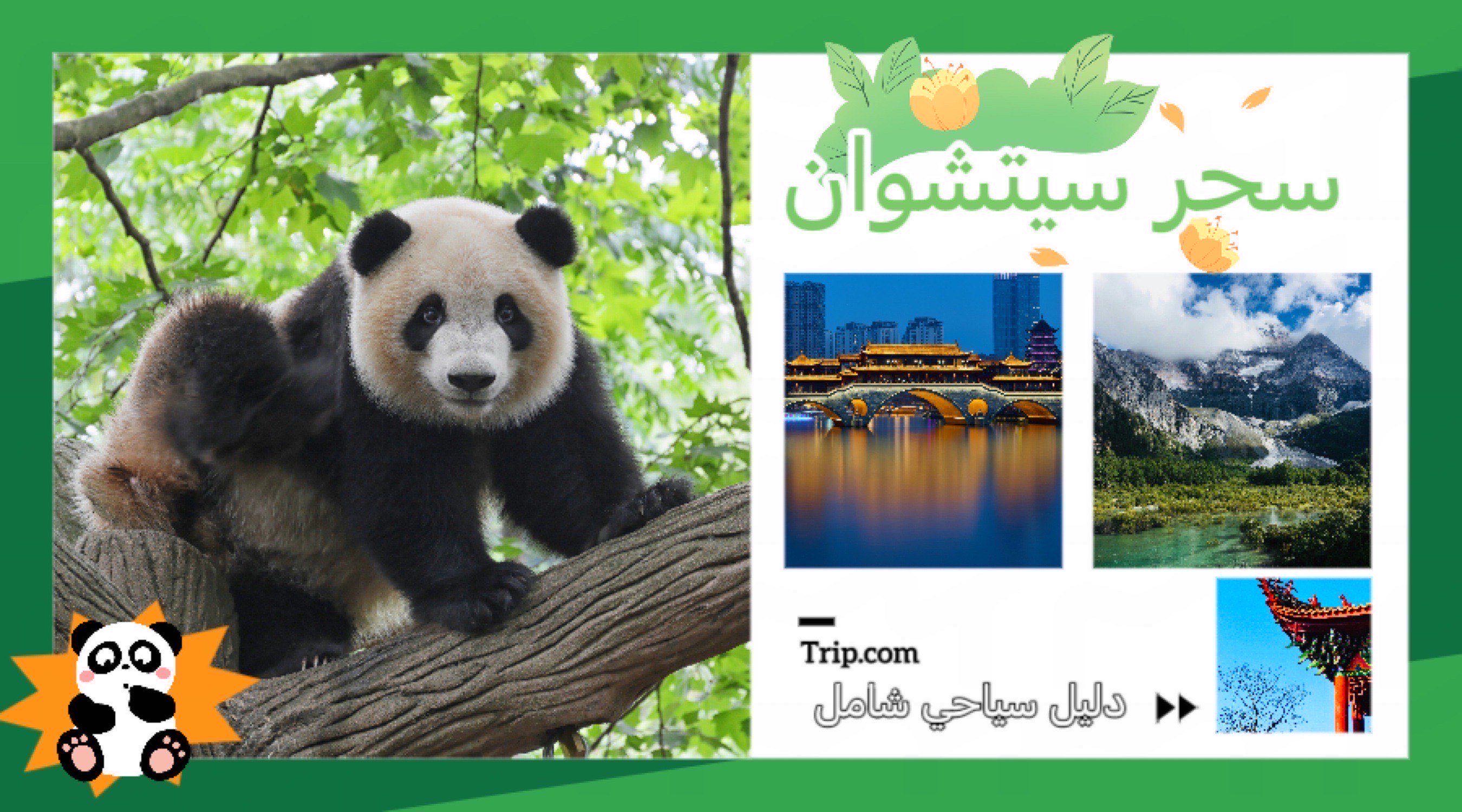دليل السفر إلى سيتشوان