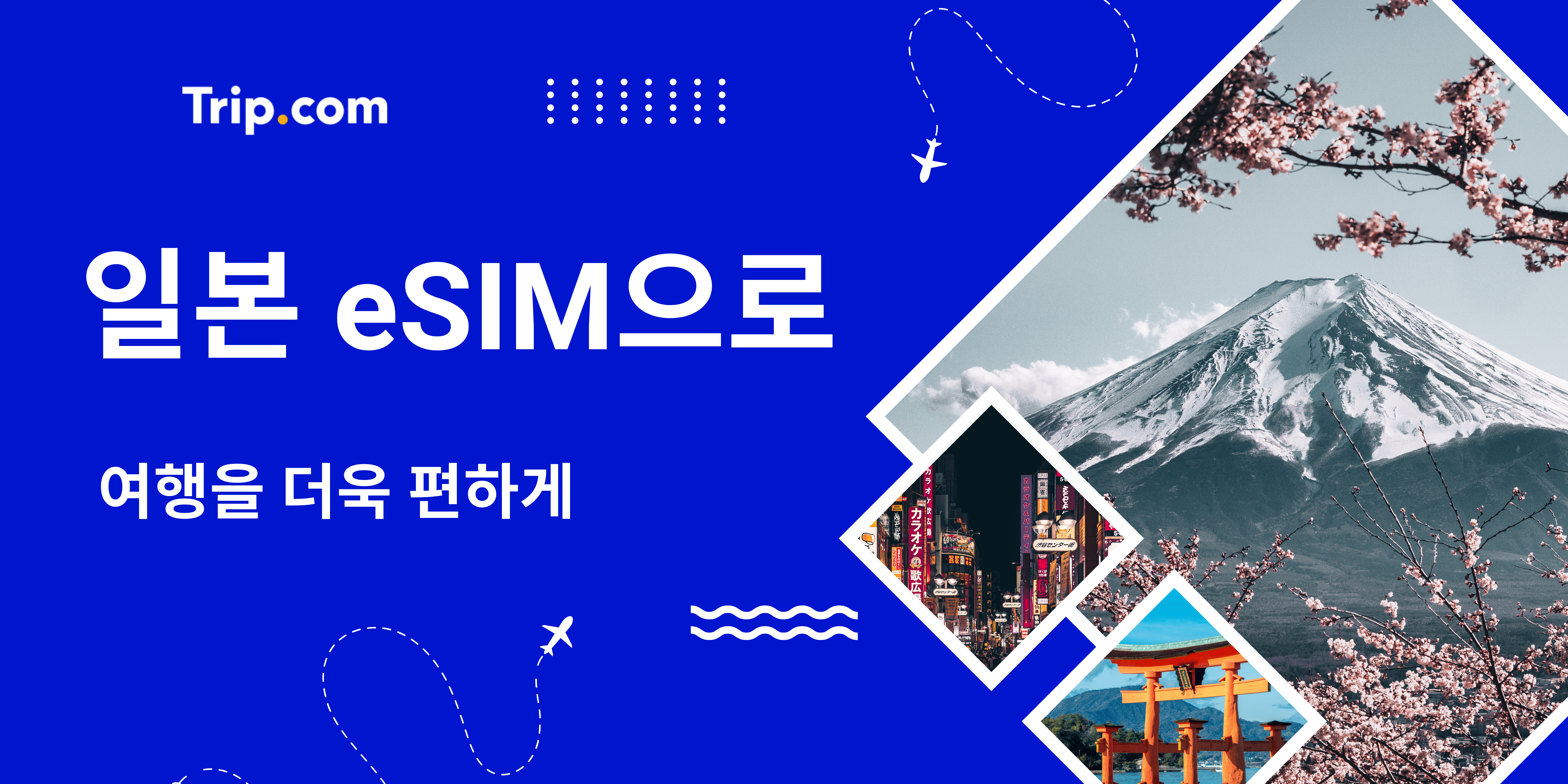 일본 이심