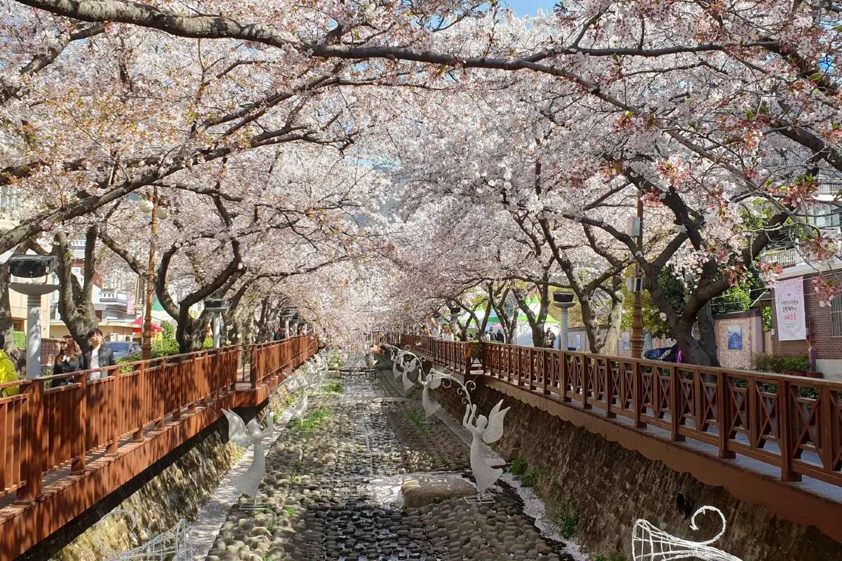 鎮海軍港祭（チネグンハンジェ）