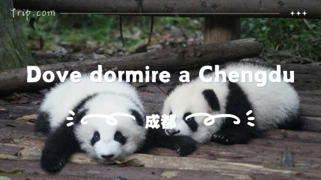 Dove dormire a Chengdu: zone migliori, hotel e attività