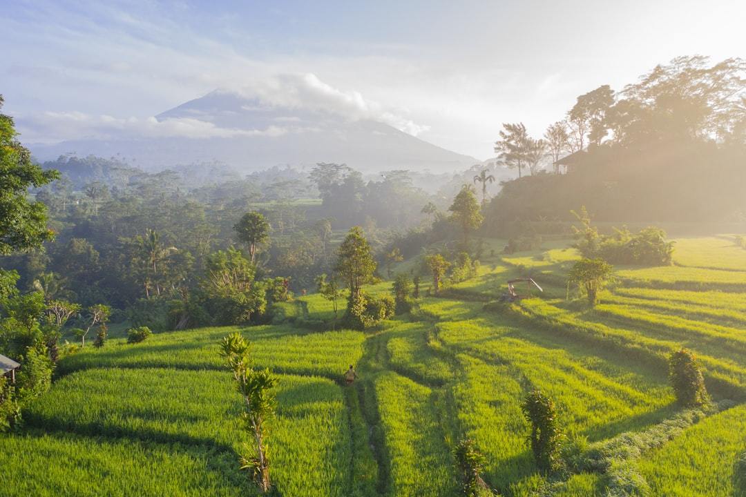 How to Get to and Around Bali?