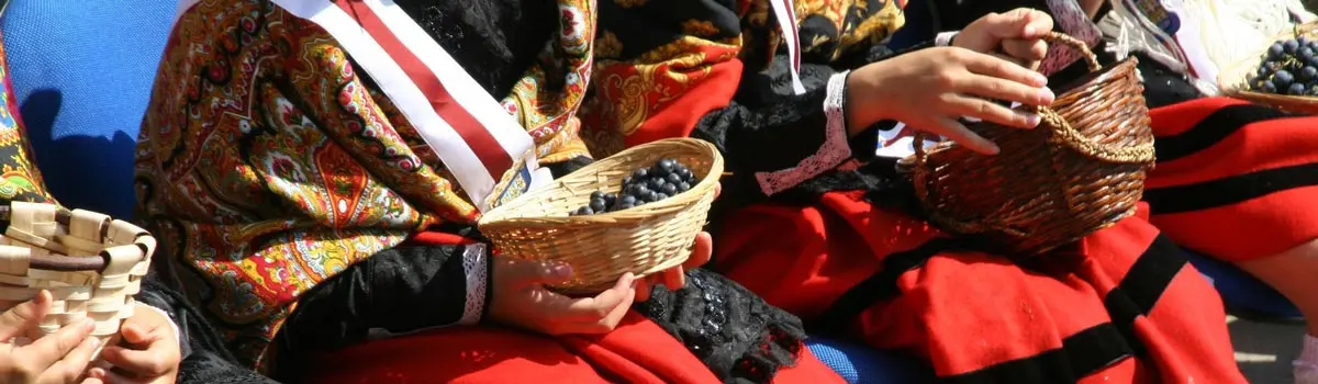 San Mateo Festival