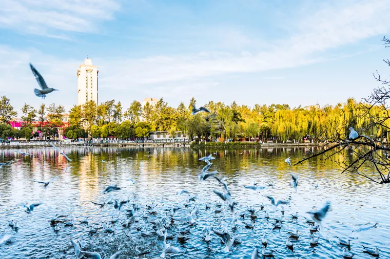 翠湖公園