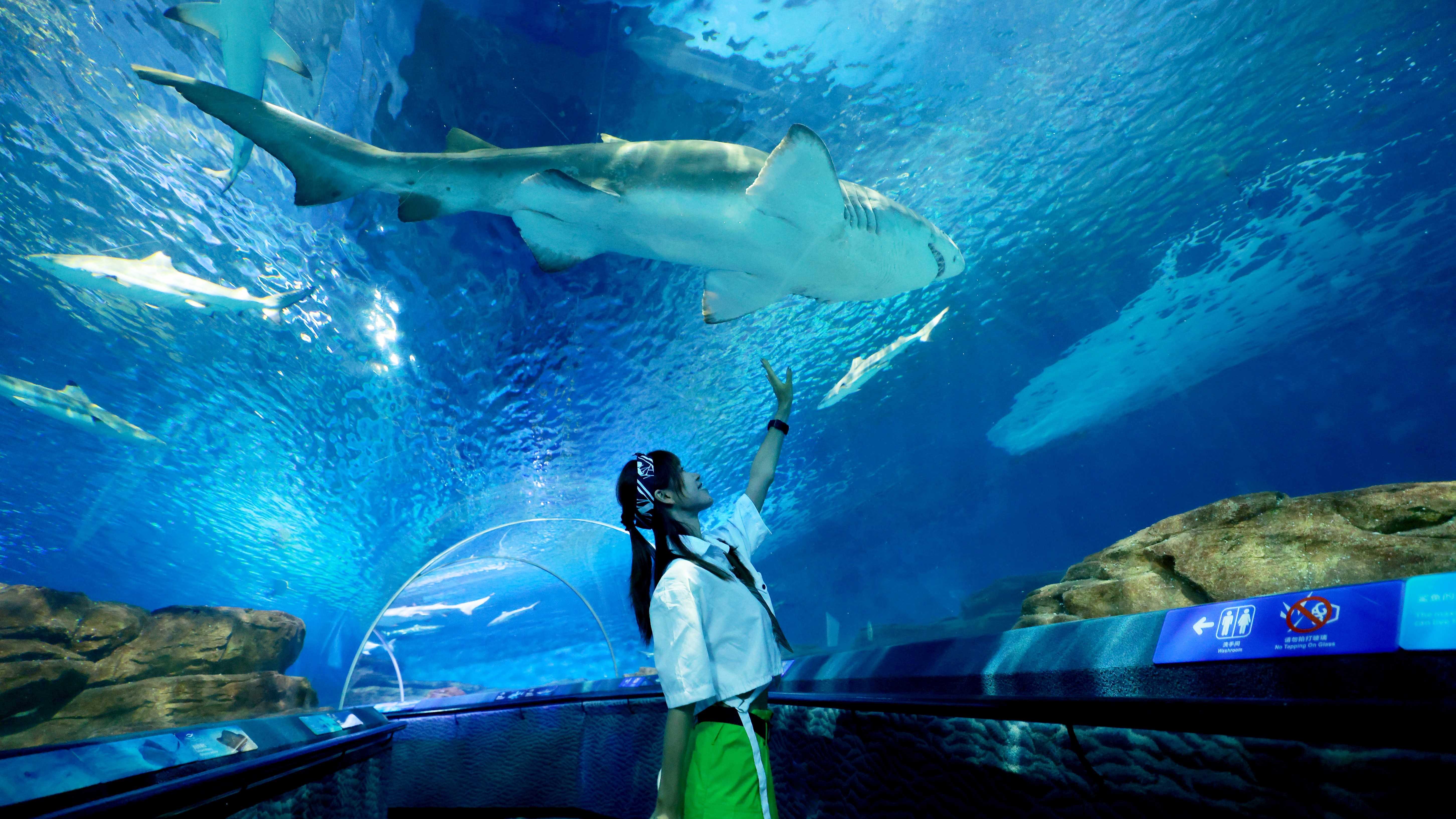 พิพิธภัณฑ์สัตว์น้ำเซี่ยงไฮ้ (Shanghai Ocean Aquarium)
