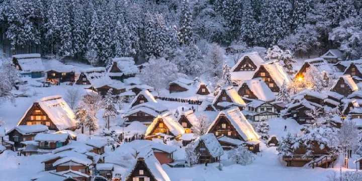 The Snowiest Place on Earth | Moss and Fog