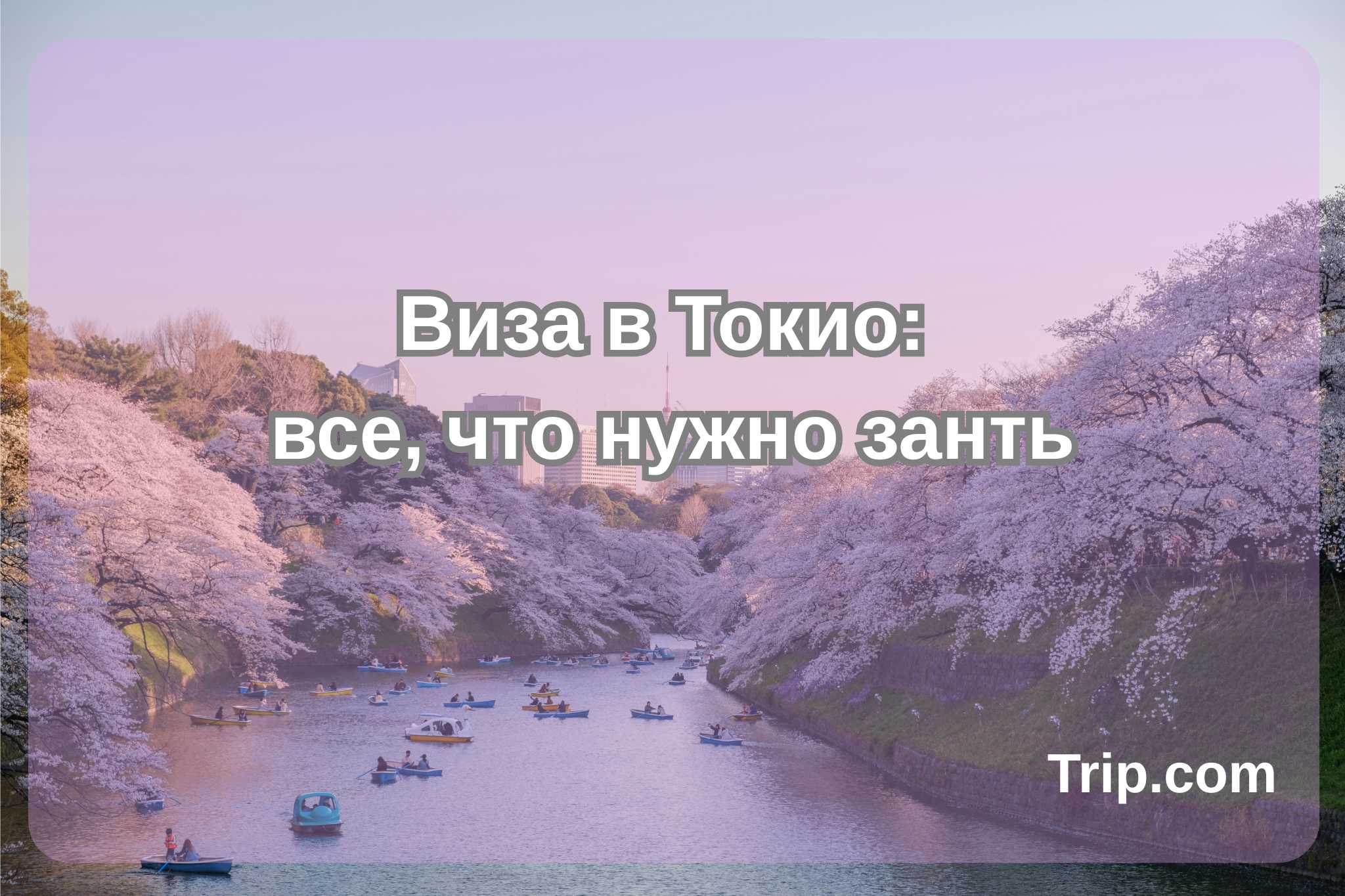 Нужна ли виза в Токио