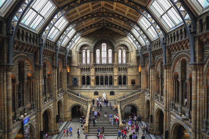 Getting the train to the London Natural History Museum: Nearest station and popular routes