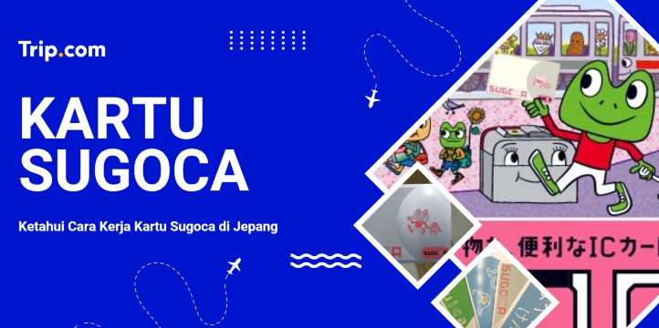 Cara Menggunakan Kartu SUGOCA di Kyushu | Trip.com